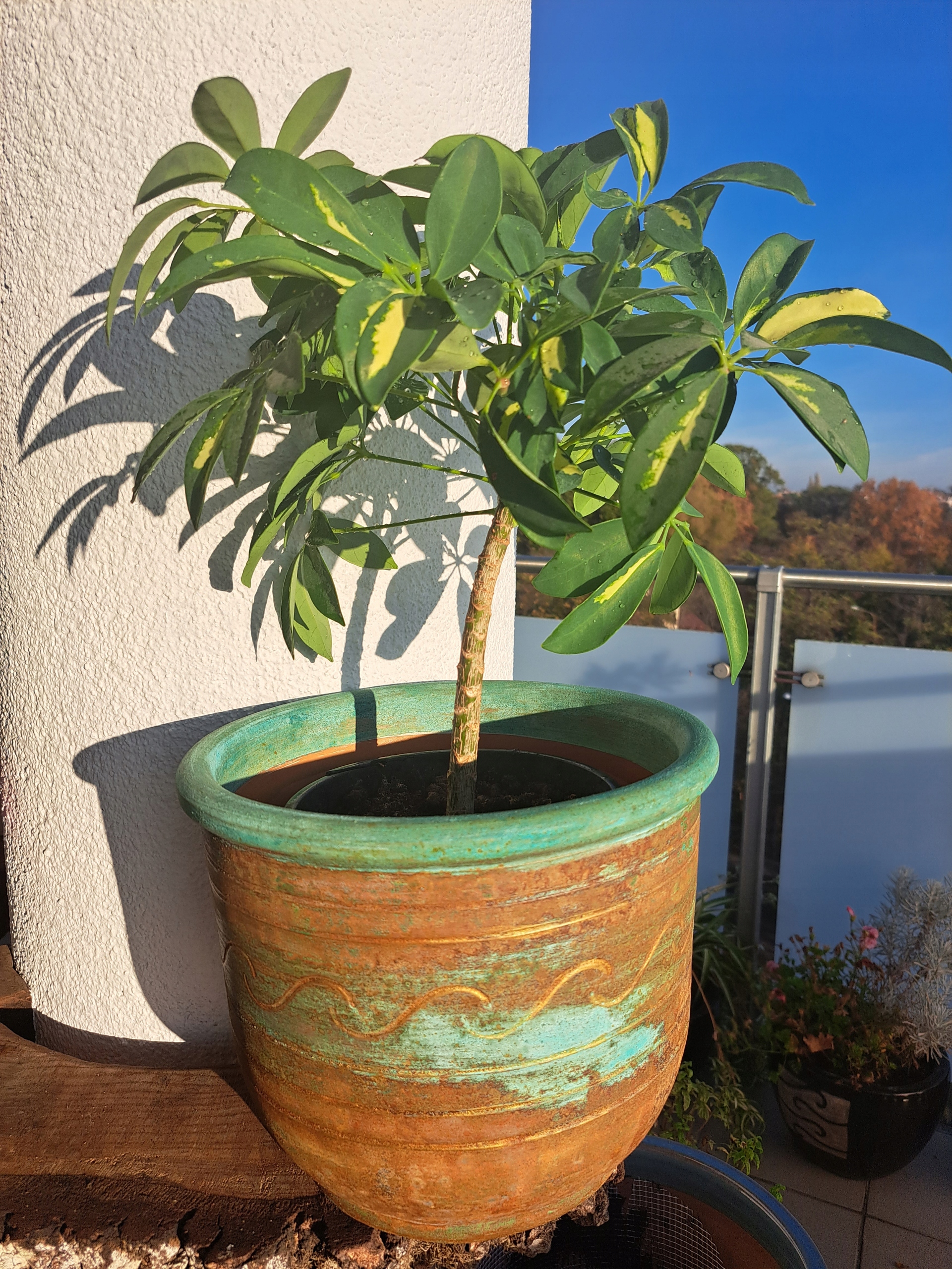 DONICZKA CERAMICZNA GRECKA 26X23 RDZA PATYNA HEXA RĘKODZIEŁO Marka bez marki