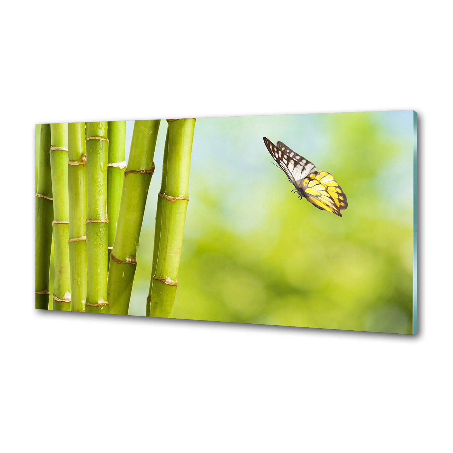 Panel do kuchyne Bambus a motýľ 120 x 60 cm Lepidlo
