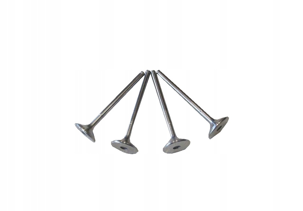 13069111 - ЛЮБЛІН ХОНКЕР ЖУК ДИЗЕЛЬ АНДОРІЯ ВСМОКТУЮЧИЙ КЛАПАН 4 ШТ