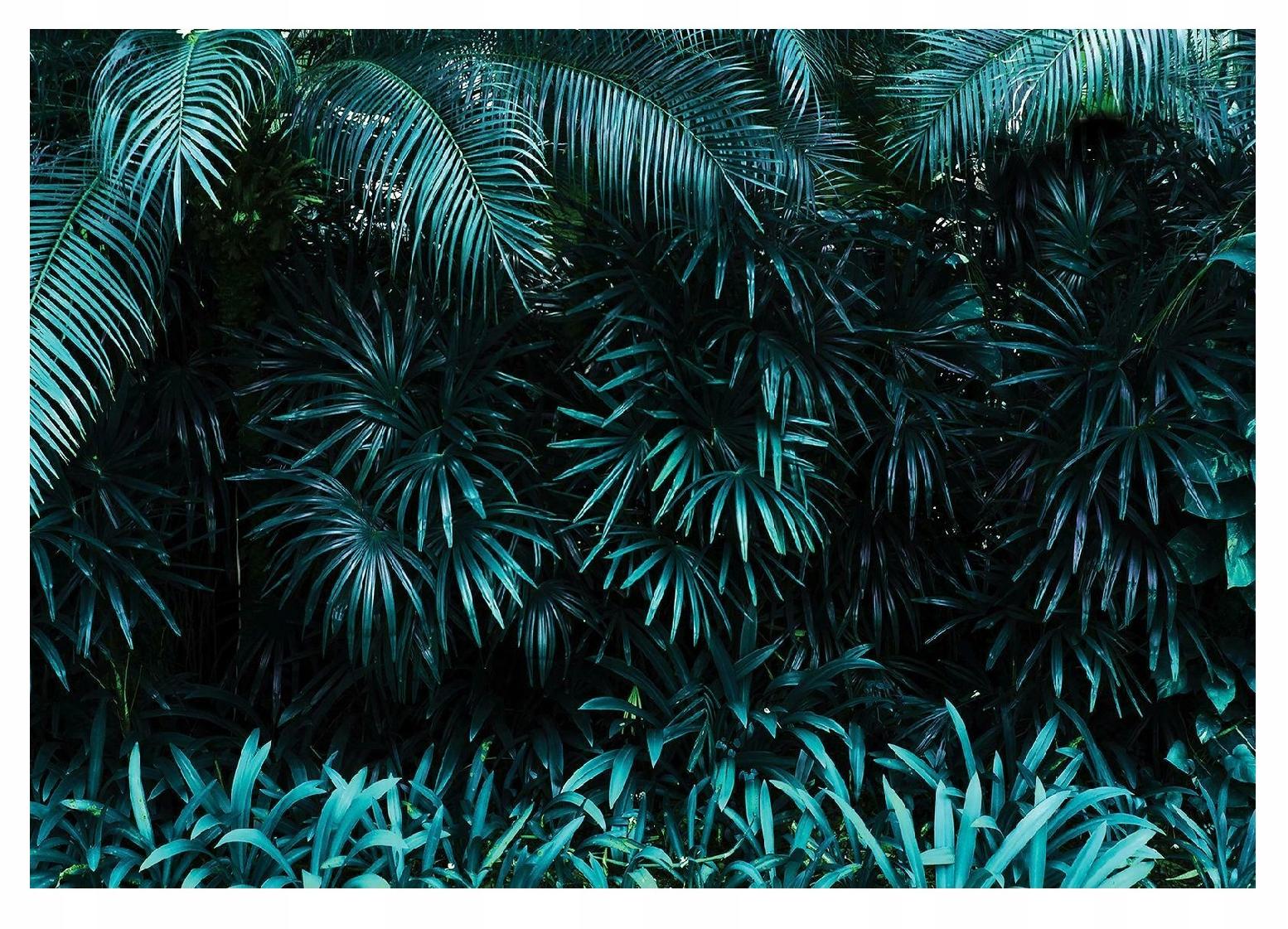 Fototapeta Zelené Listy Džungle Příroda Do Ložnice Obývacího Pokoje Tapeta 368x254