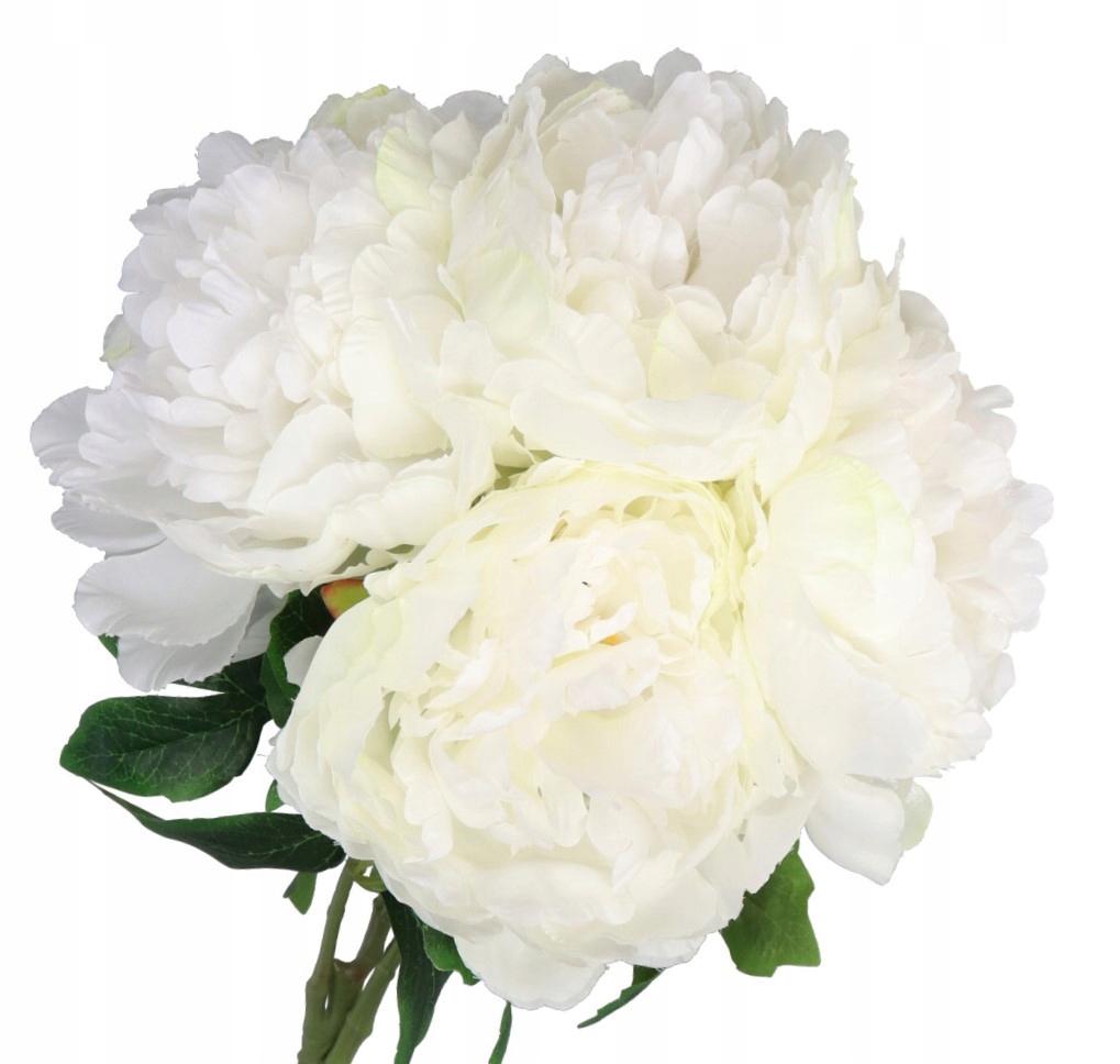 

Bukiet Kwiatów Piwonii Peonii Piwonia Peonia 50CM