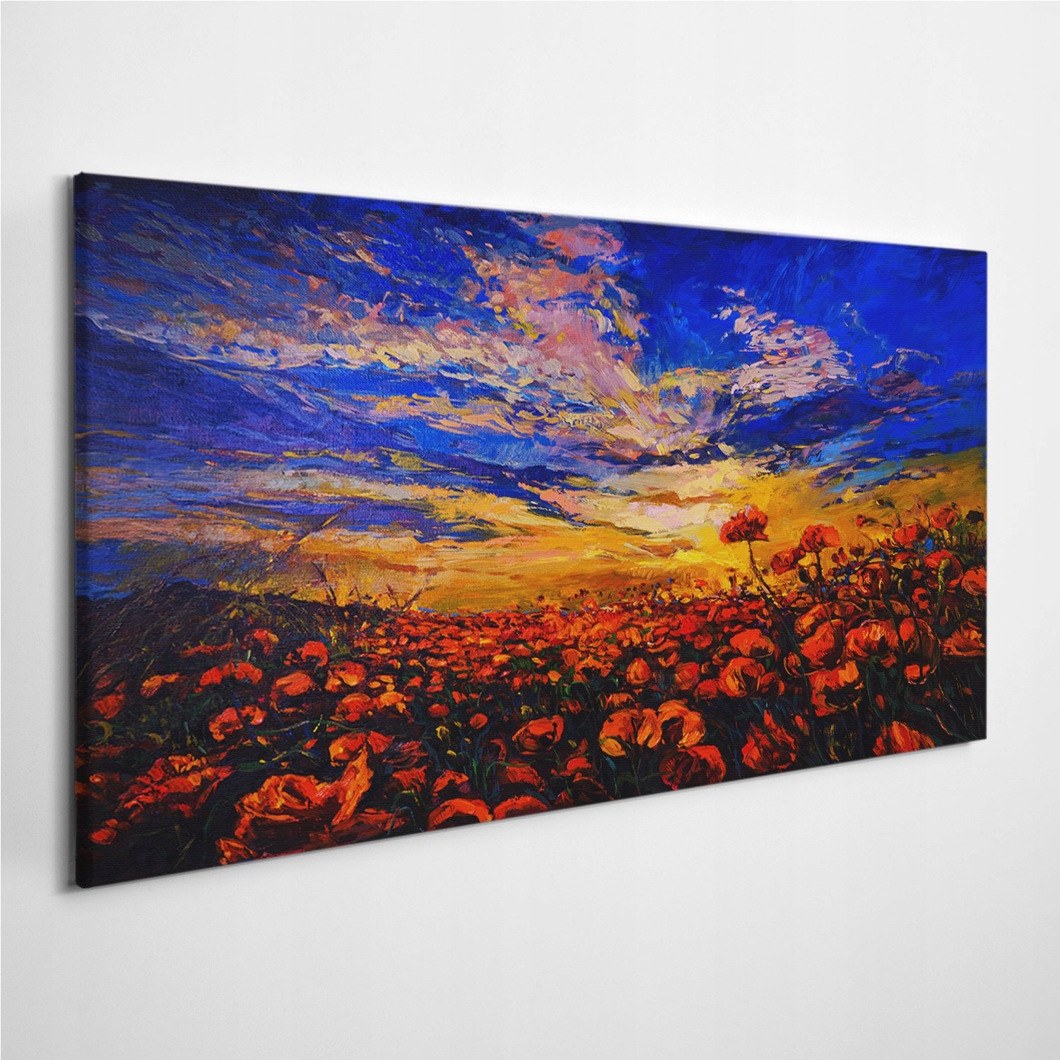 

Fotoobraz na płótnie Krajobraz Niebo Łąka 120x60