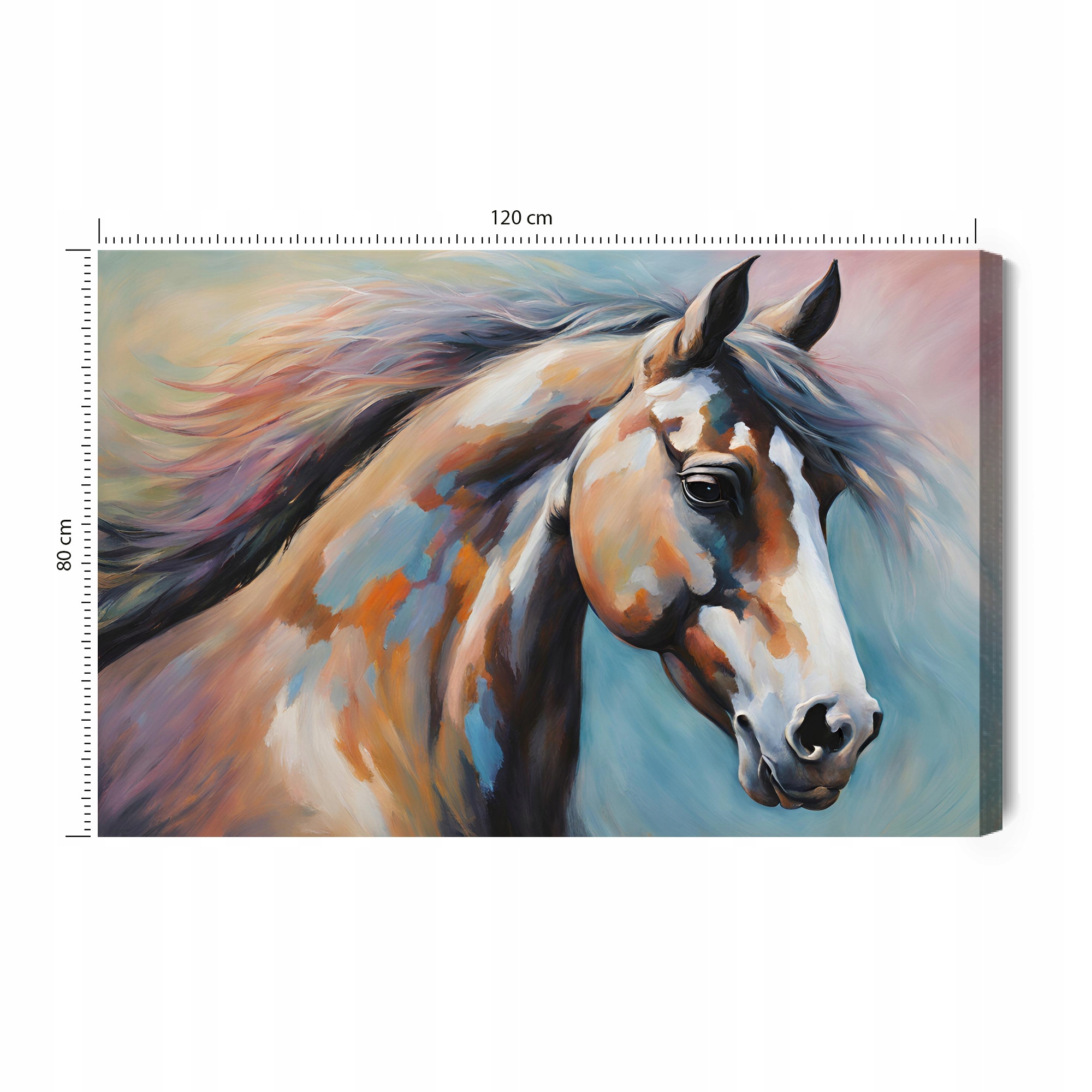 Obraz na plátně Kůň Impression velký obraz 120x80 cm