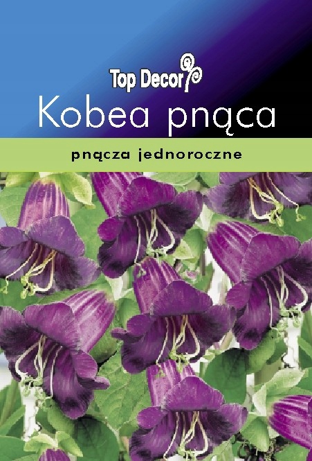 TOP DECOR NASIONA KOBEA PNĄCA KWIATY OGRODOWE