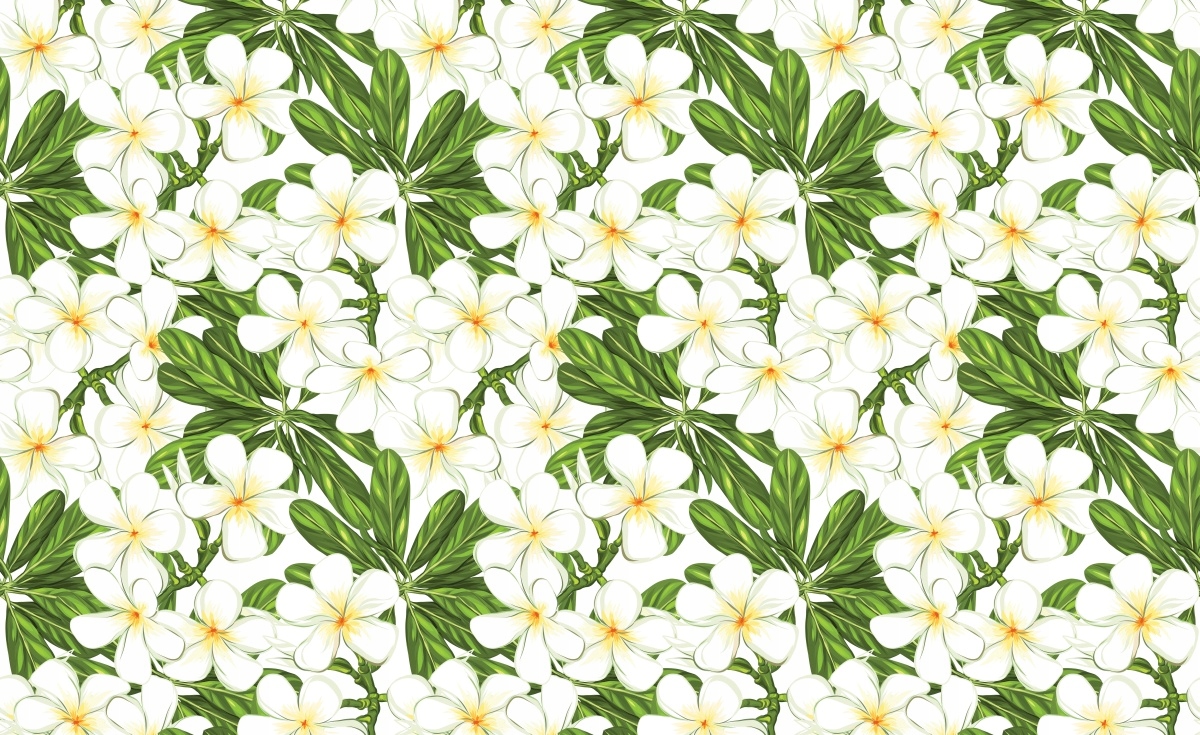 

Fototapeta Flizelinowa Plumeria Kwiaty 416x254