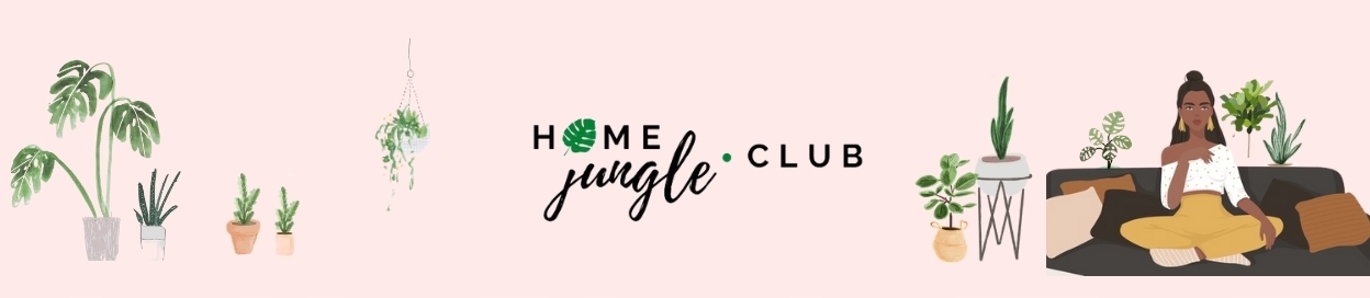 Keramzyt ogrodniczy drenaż do roślin doniczkowych Rodzaj keramzyt