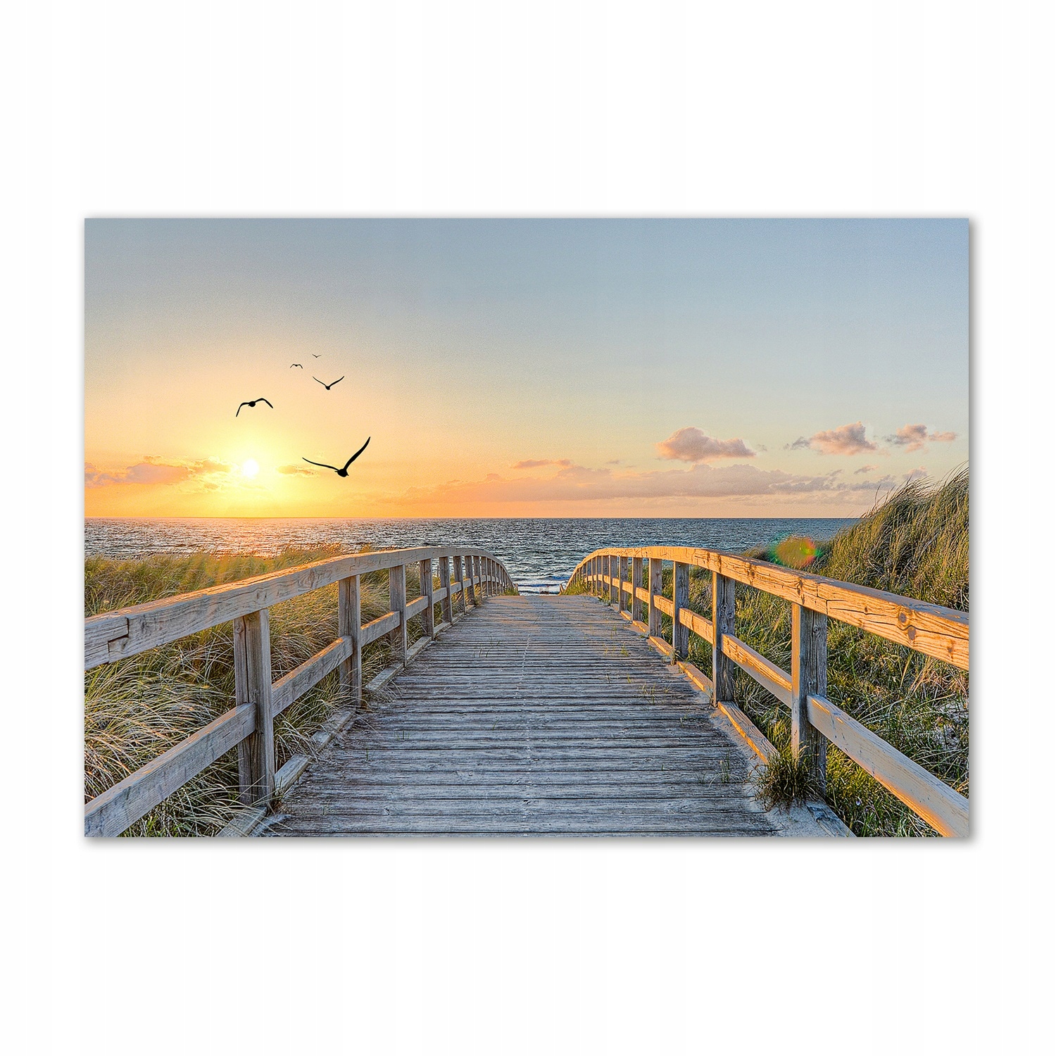

Foto obraz szklany Ścieżka na plażę 100x70