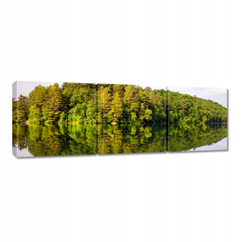 

Obraz 120x40 Las Jezioro Chmury
