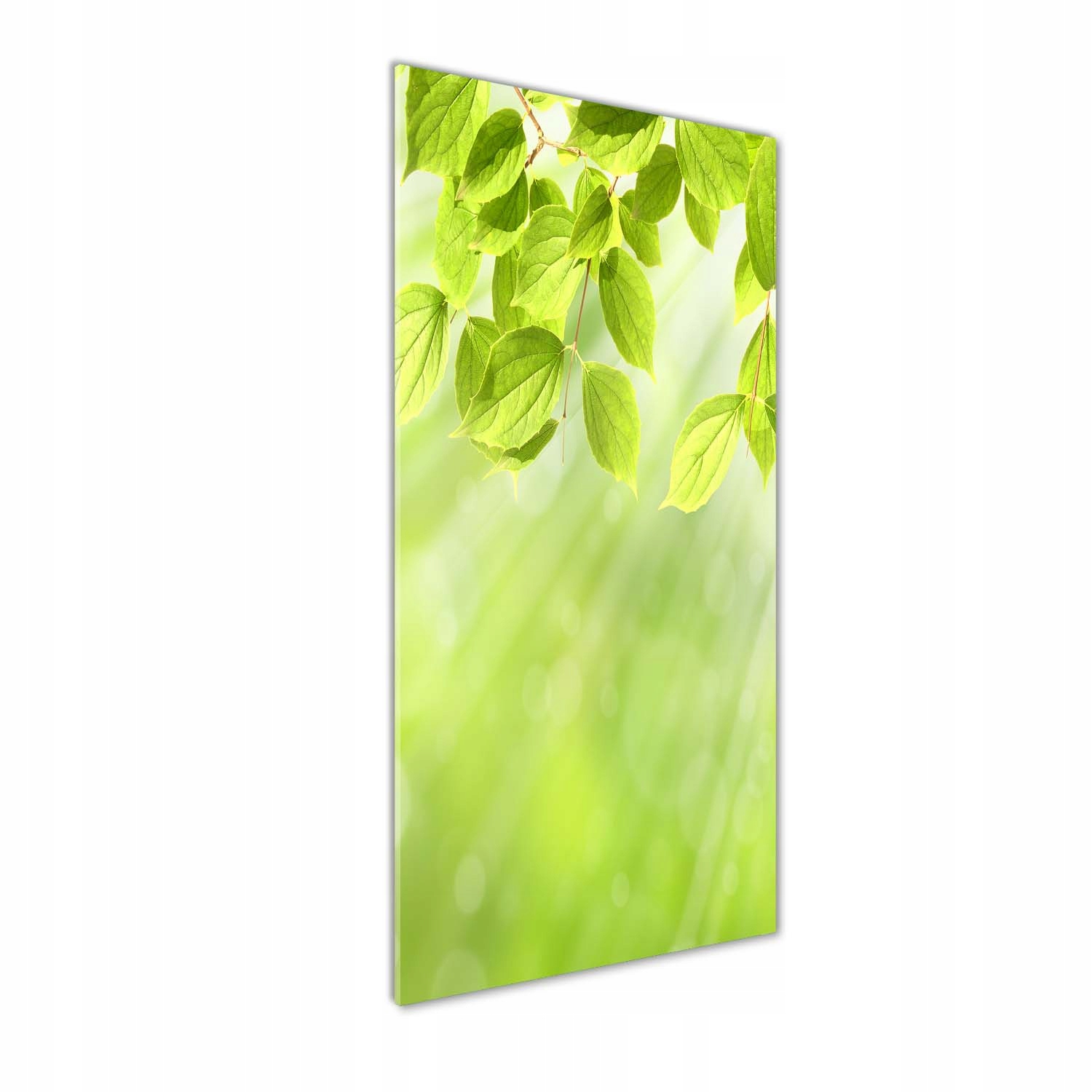 

Foto obraz akryl do salonu Zielone listki 50x125cm