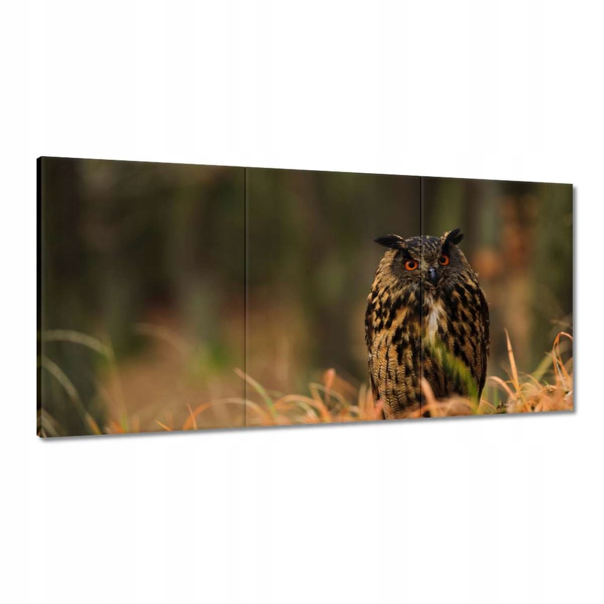 Obrazy 180x90 Vtáky Vtáky