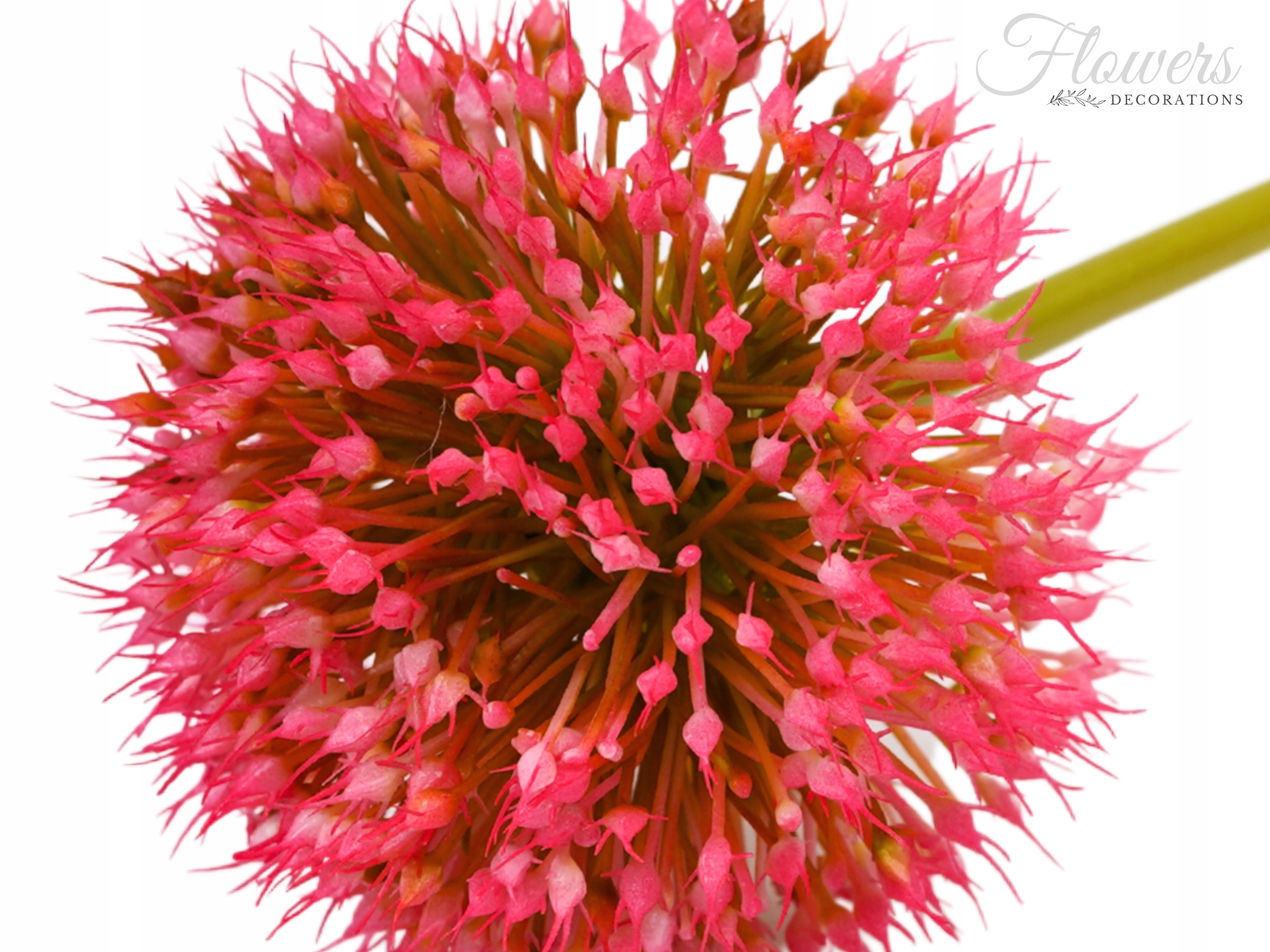 SZTUCZNE KWIATY CZOSNEK PIK GAŁĄZKA 48CM DEKORACJA DODATEK FLORYSTYCZNY Marka Topoblu