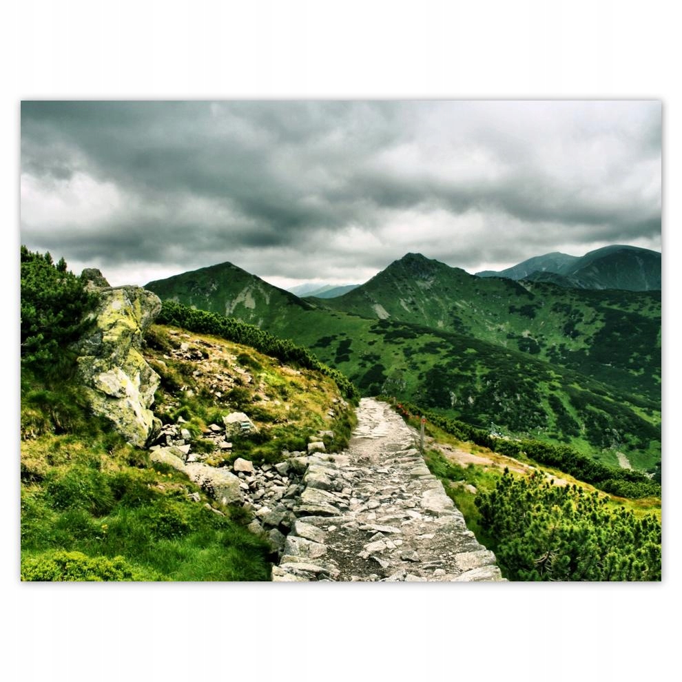 

Plakat 40x30 Dróżka w Tatrach