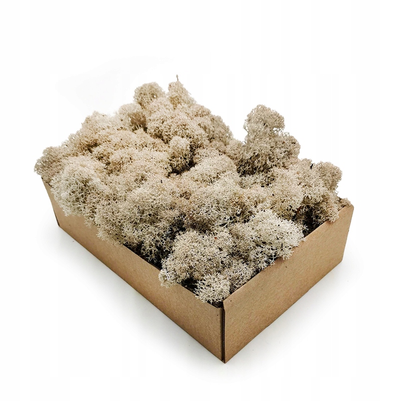 Mech chrobotek Fiński 50g Biały