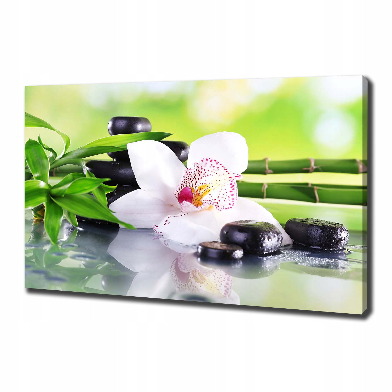 

Foto obraz canvas na ścianę Orchidea 100x70 cm