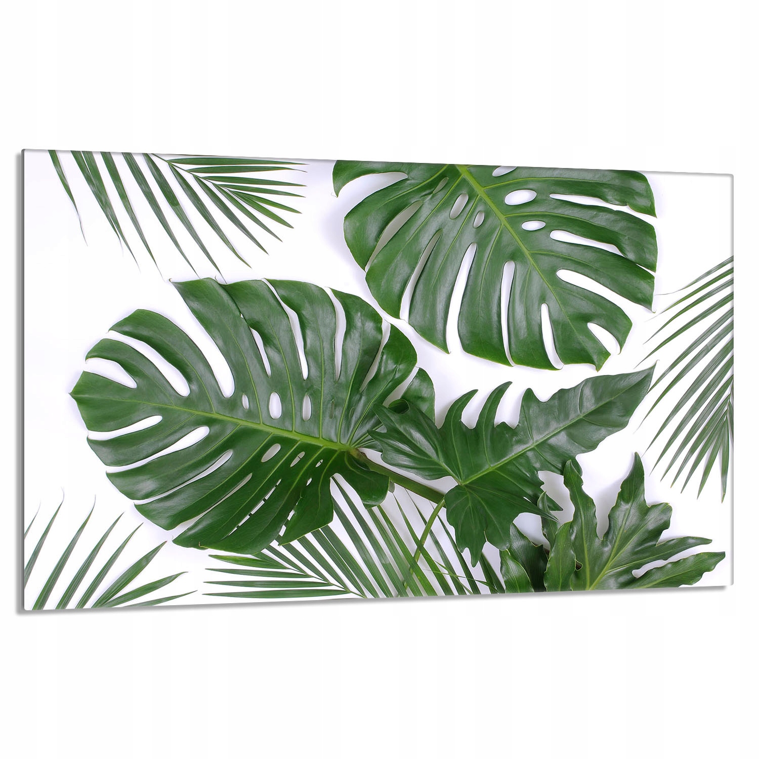 Skleněná ochranná deska na sporák 80x52 Monstera Do Kuchyně