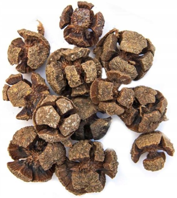 

Szyszki Naturalne Mini Ozdobne Święta 2-3cm 12szt.