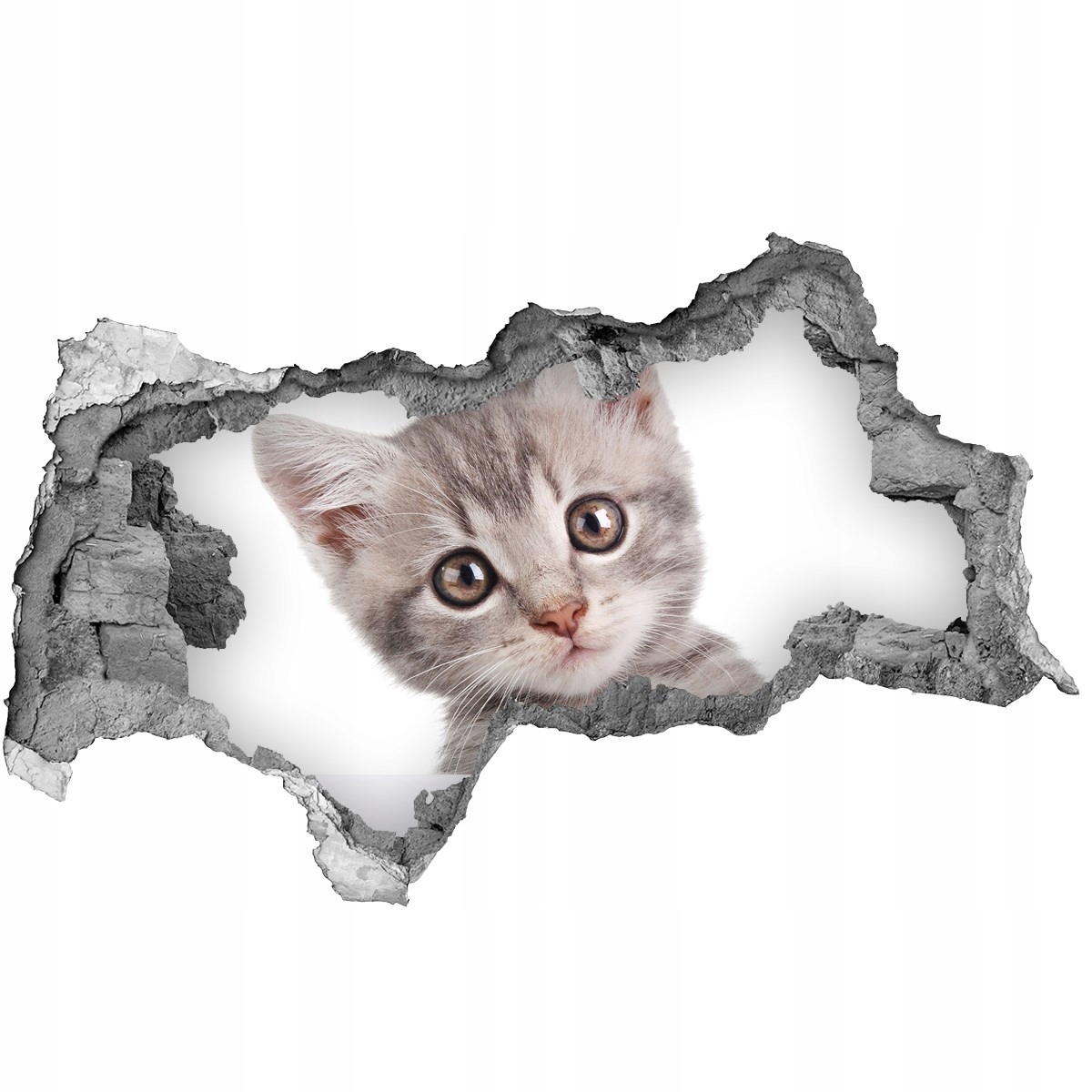 

Dziura 3d fototapeta na ścianę Szary kot 115x88