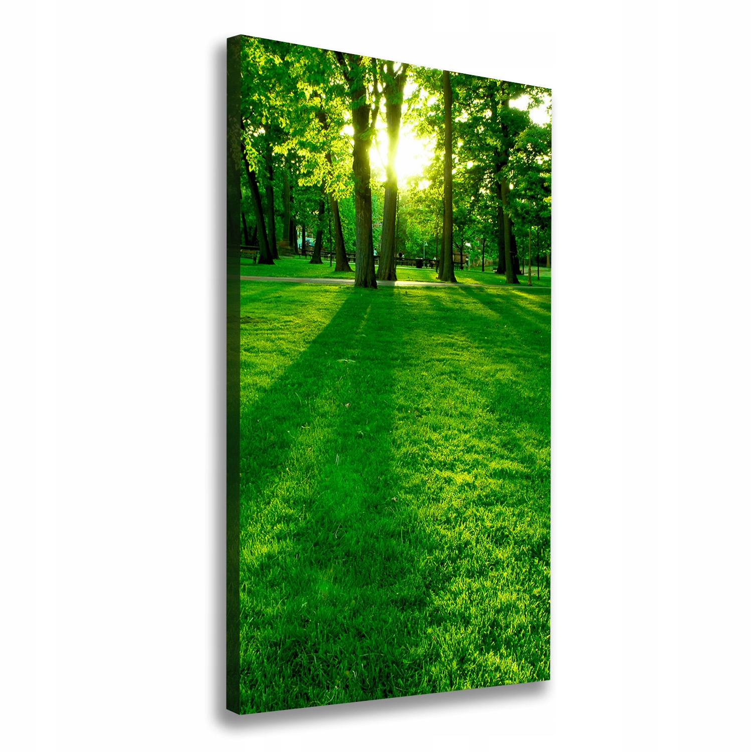 

Foto obraz na płótnie Słońce w parku 50x100 cm