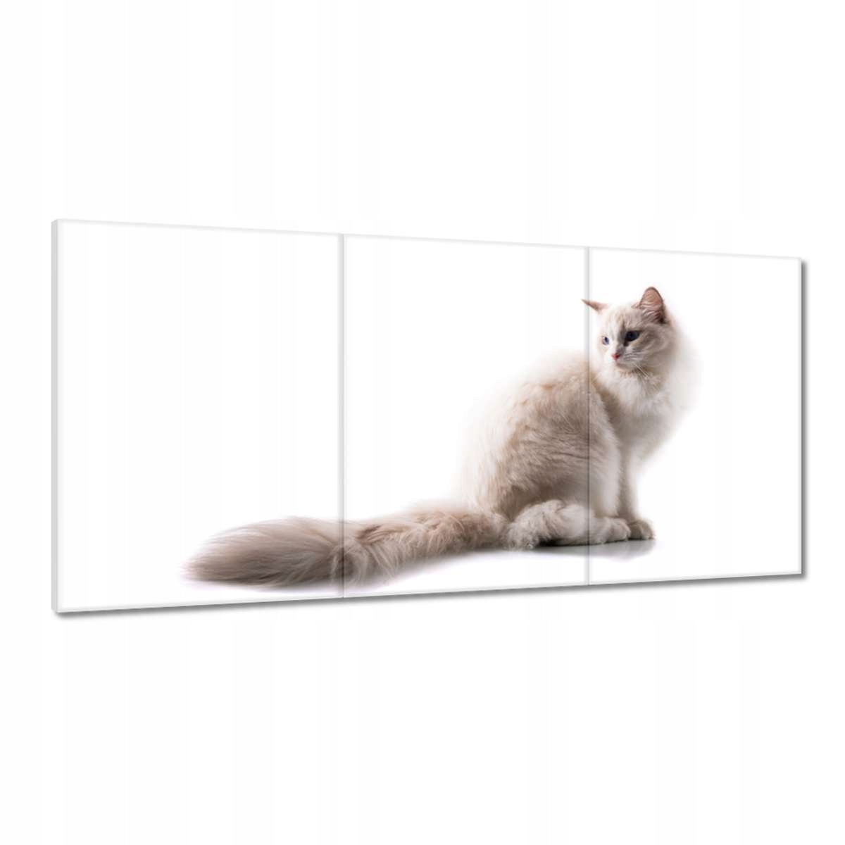 Obrazy 180x90 Mačka Mačičky Mačky Mačiatko