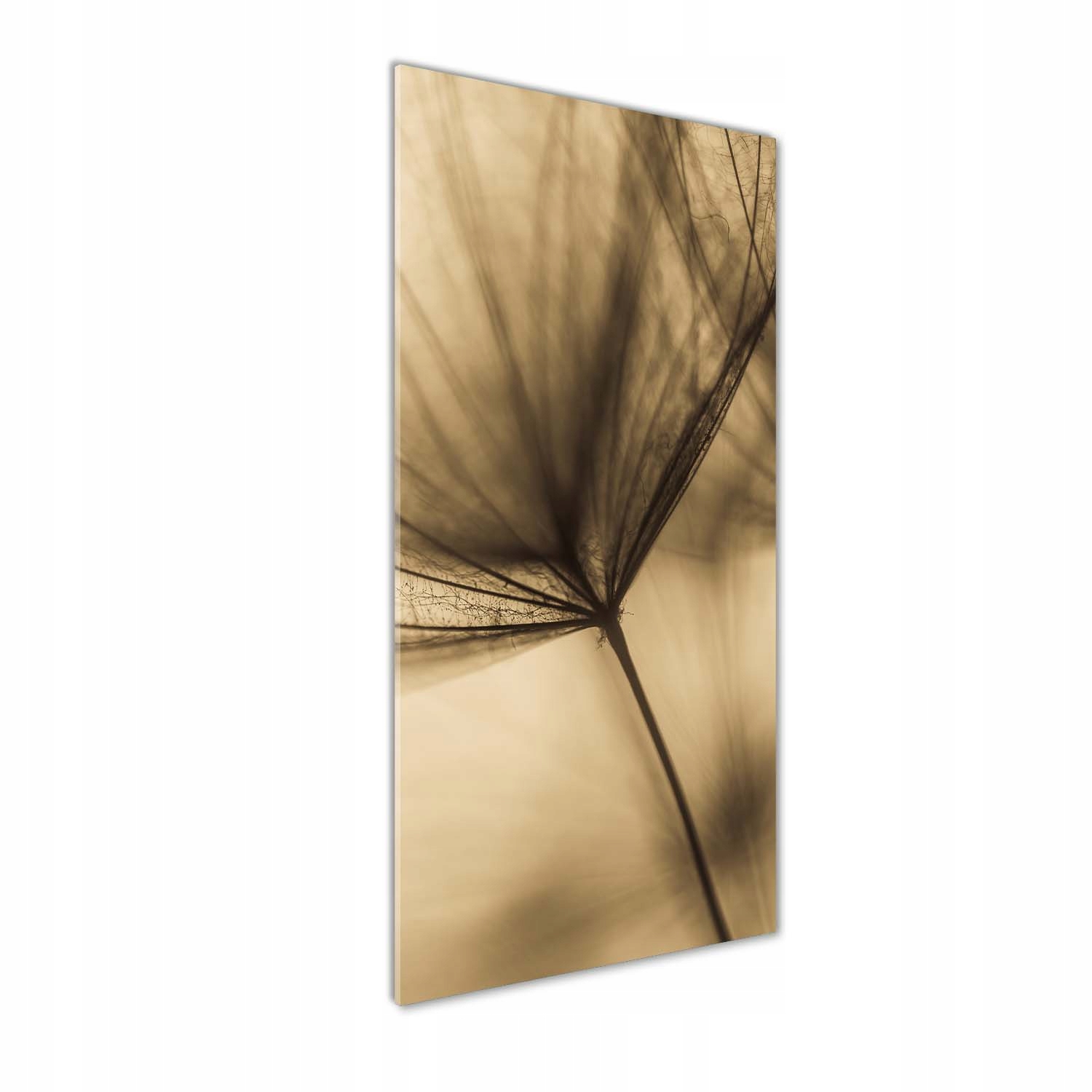 

Foto obraz na szkle Nasiono dmuchawca 50x125 cm