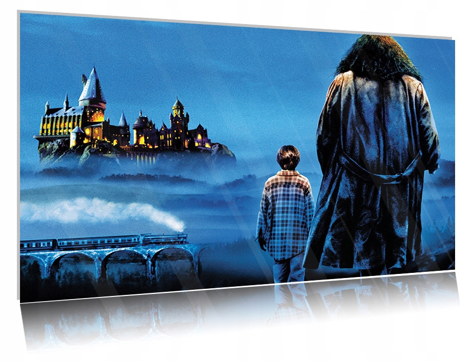 

Obraz szklany na szkle Harry Potter 04 30x20
