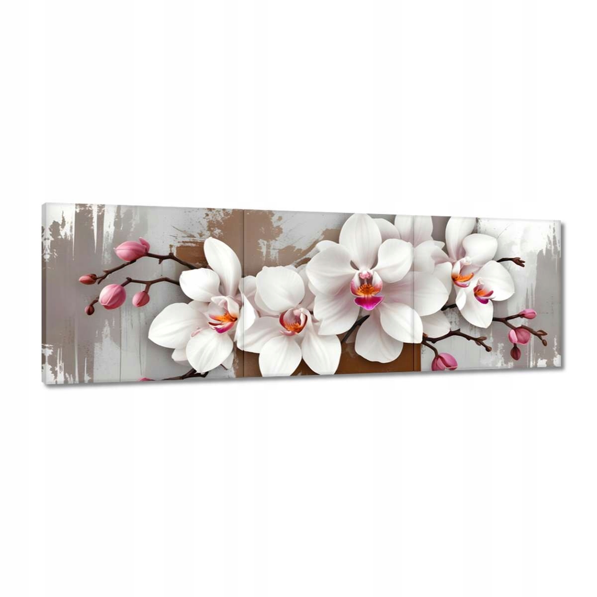 Obrazy 150x50 Bílá orchidej
