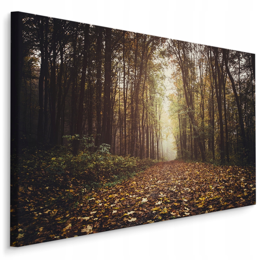 

Obraz las jesienią 30x20 /138724774