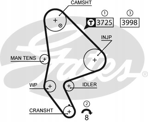 ZESTAW PASKA ROZRZĄDU K015588XS GATES CITROEN FIAT Stan opakowania oryginalne
