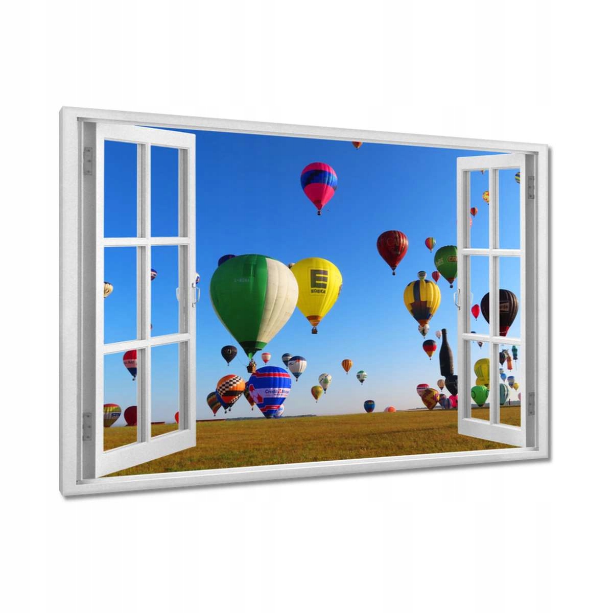 Obrazy 120x80 Balónový slet Balóny