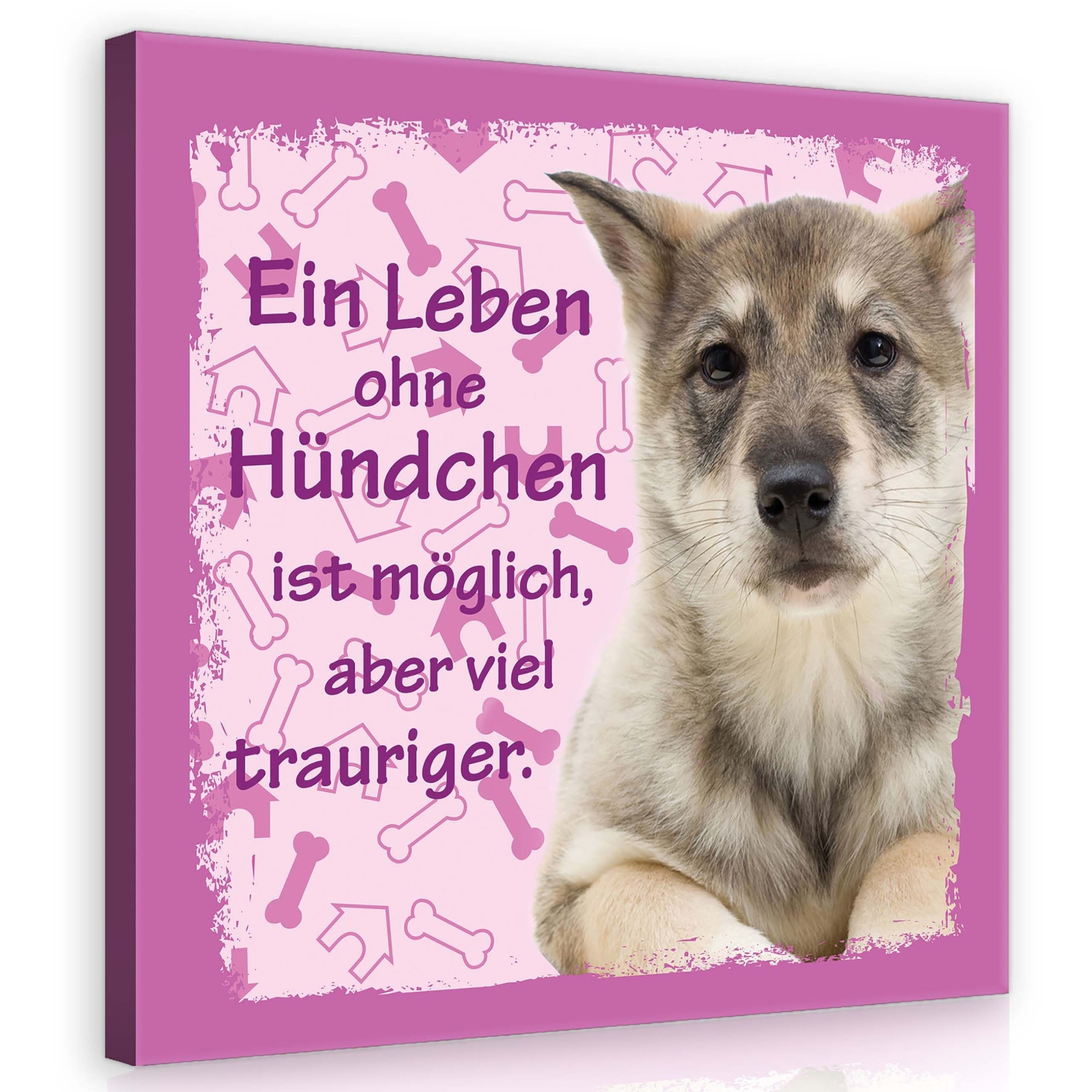 Obraz 80x80 Štěňátko pes mazlíček smutný život kost Život bez psa je