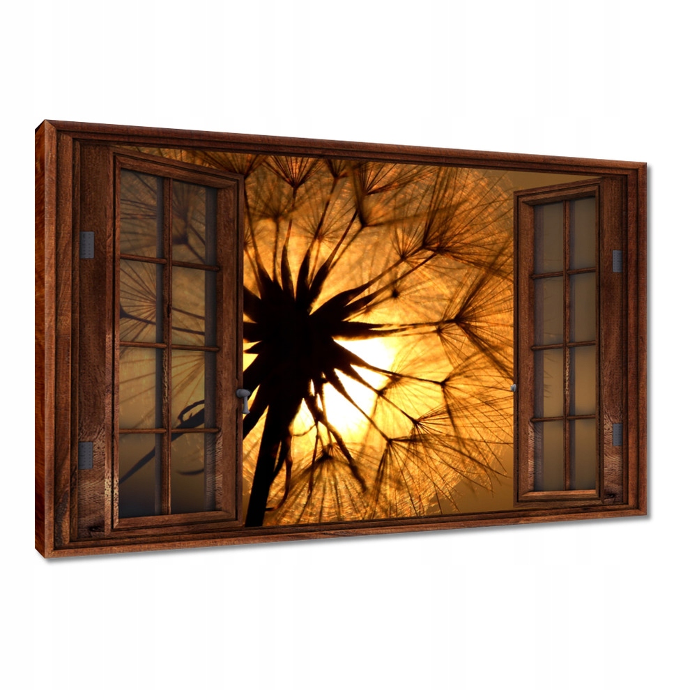

Obrazy 120x80 Dmuchawiec Kwiat Kwiatki
