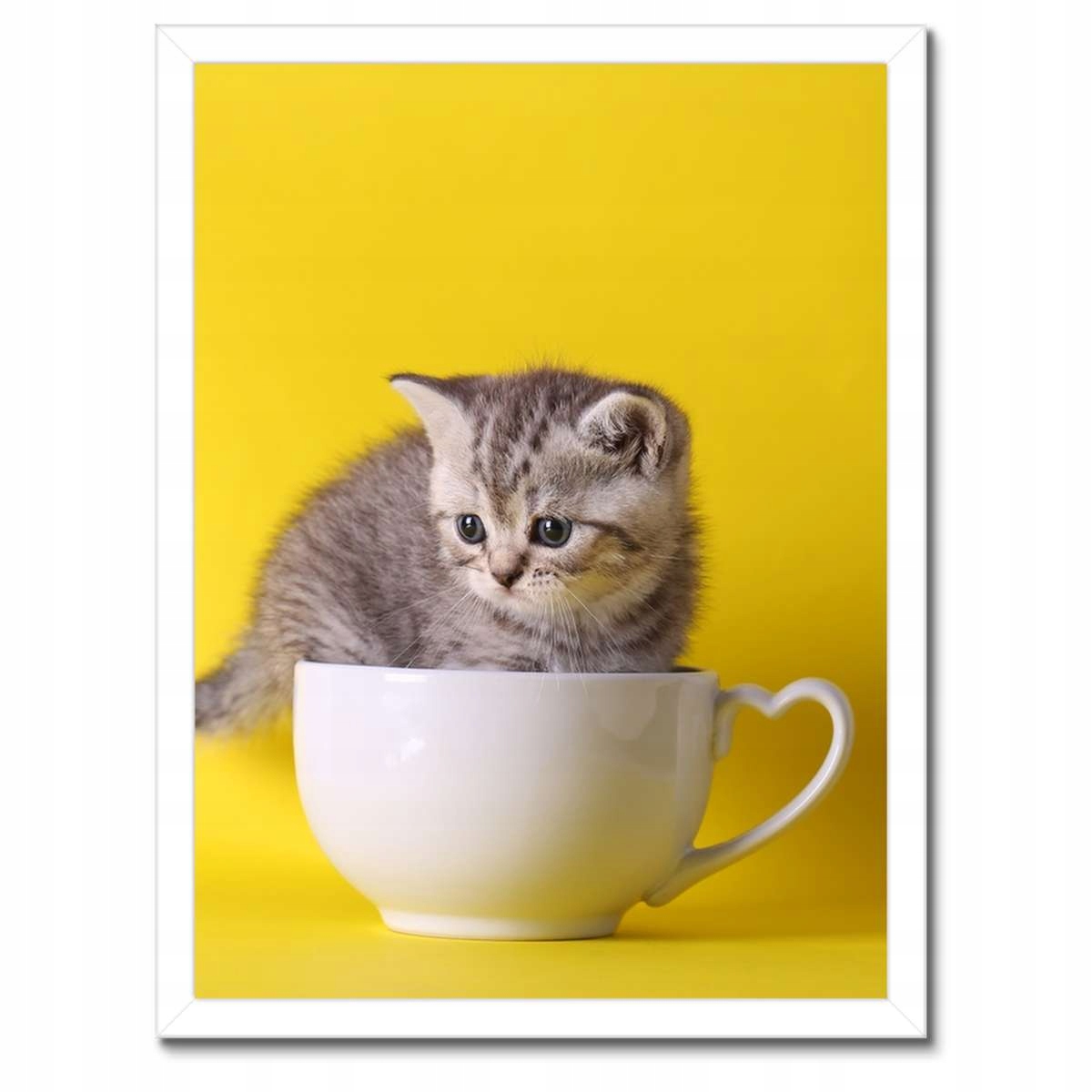 Plakáty v rámu 30x40 Kočka Kotě Kočky Kočka