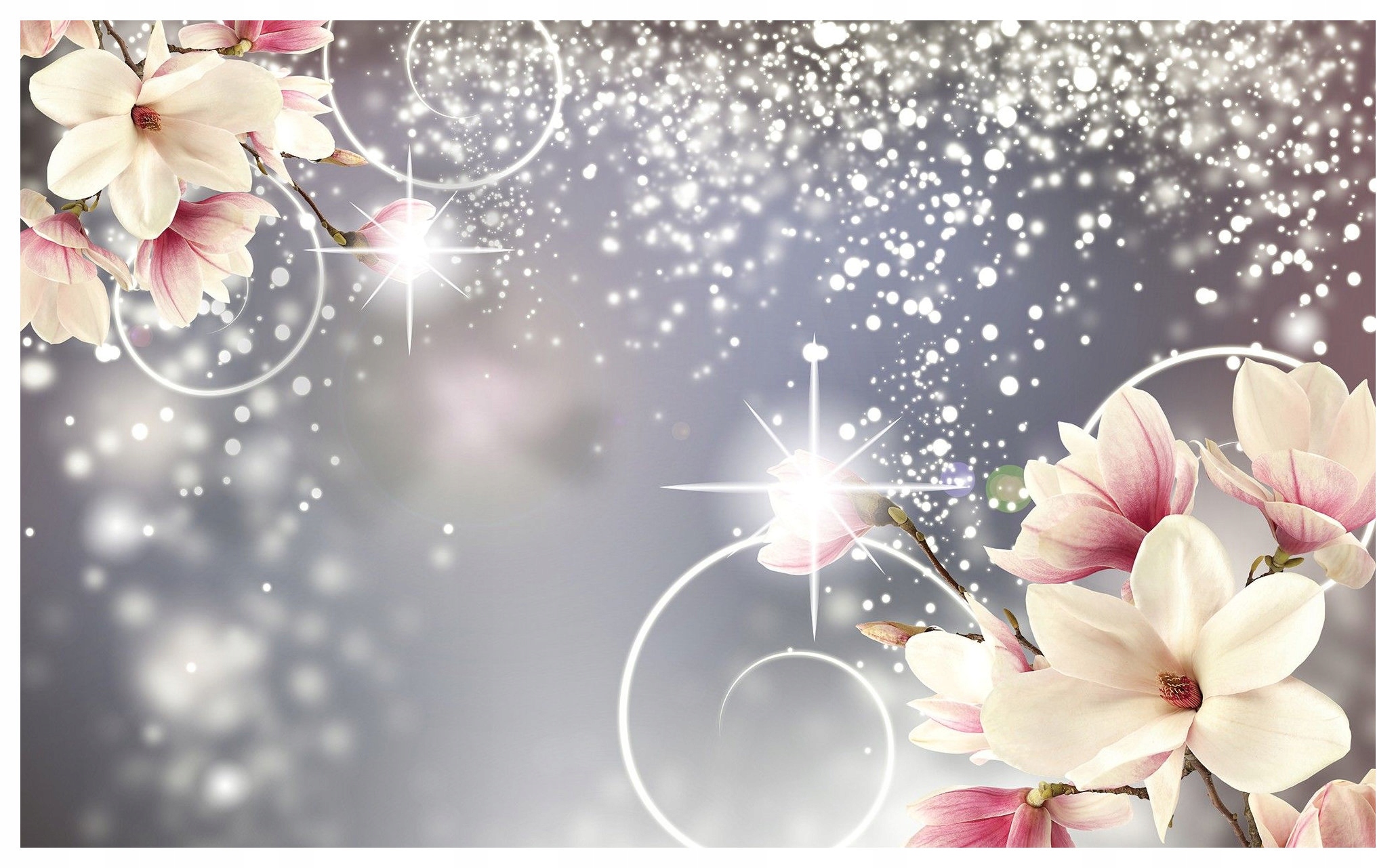 Vliesová fototapeta Magnolie v striebornom odtieni kvetov 350x250 lepidlo