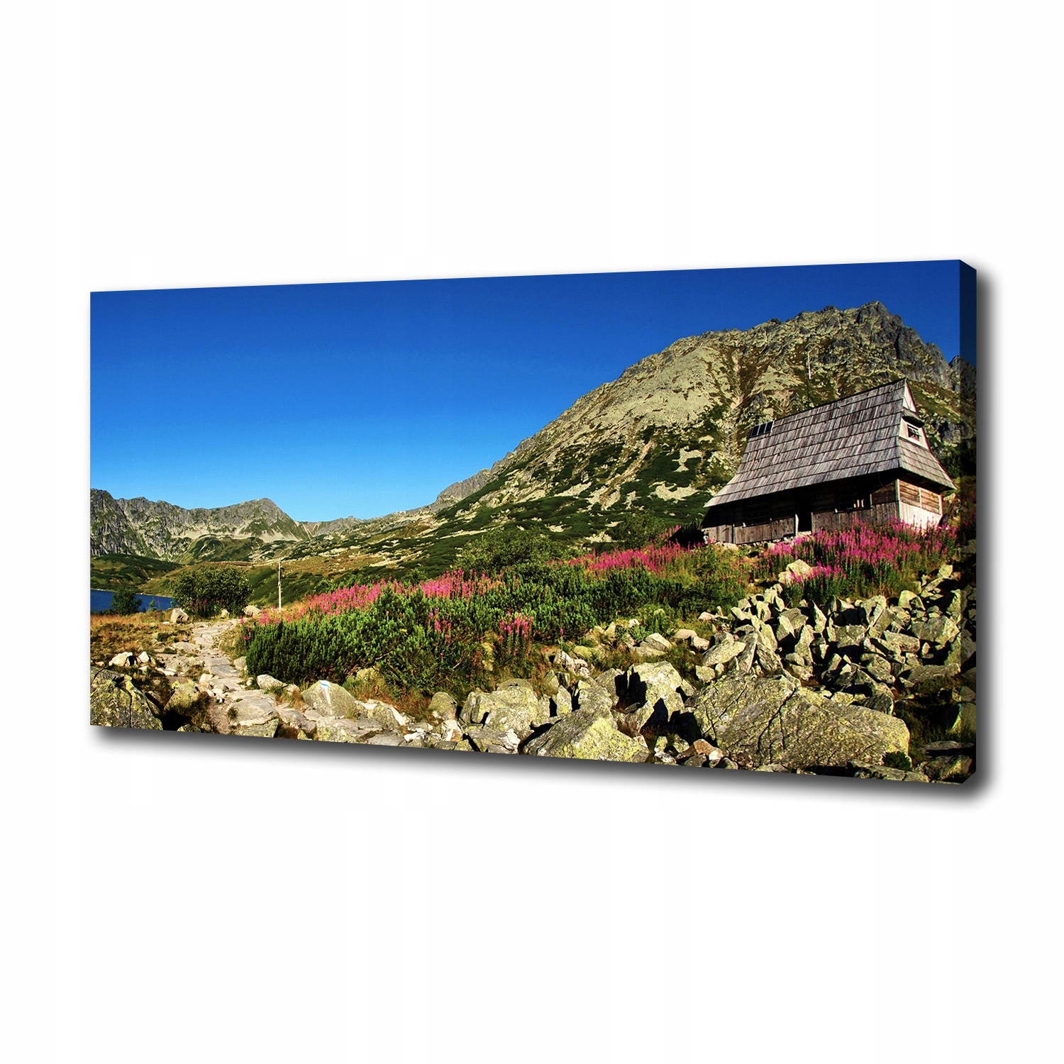 

Foto obraz na płótnie Bacówka w dolinie 100x50 cm