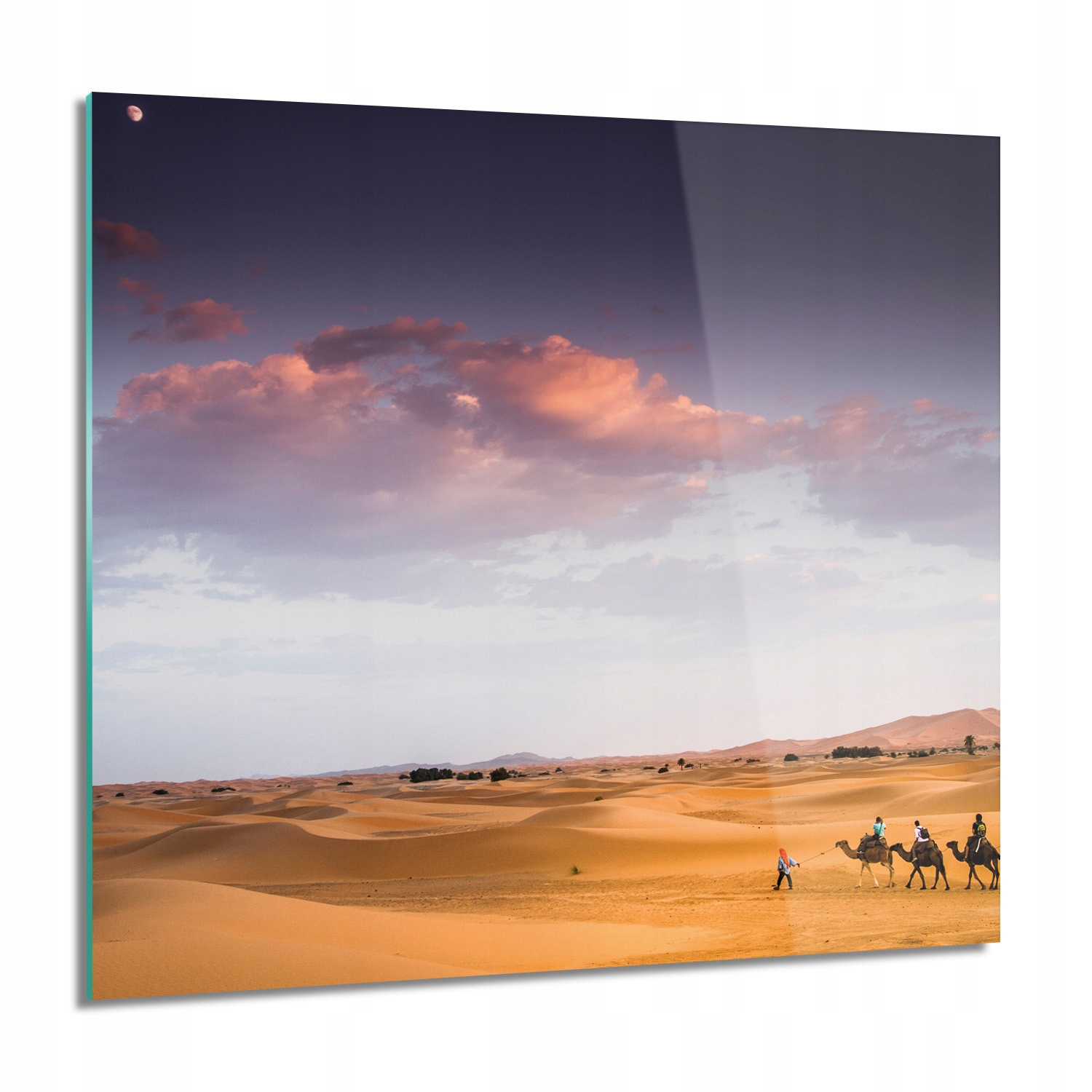 Obloha velbloudů do obývacího pokoje Foto na skle 60x60