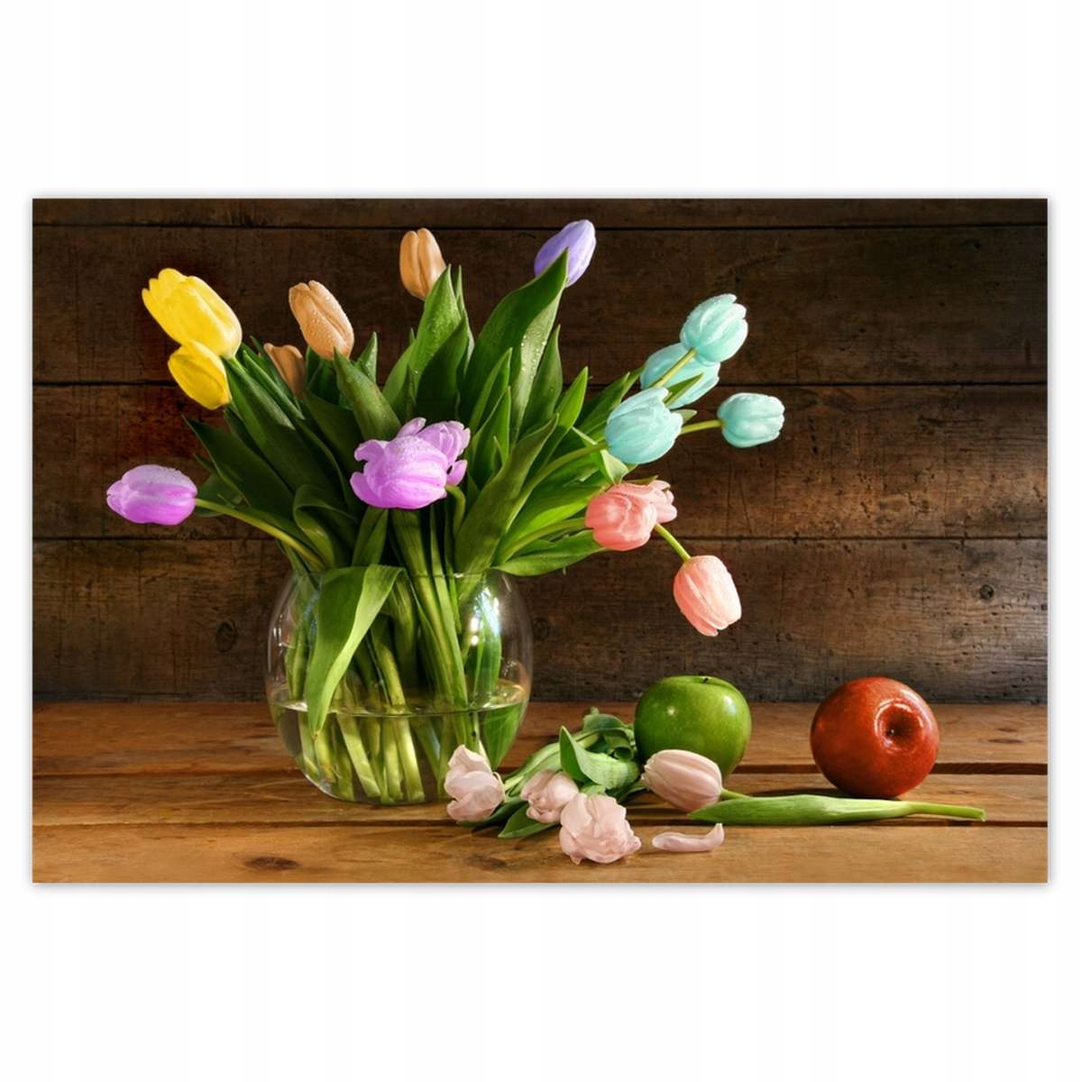 Plakáty 200x135 Kytice Barevné tulipány