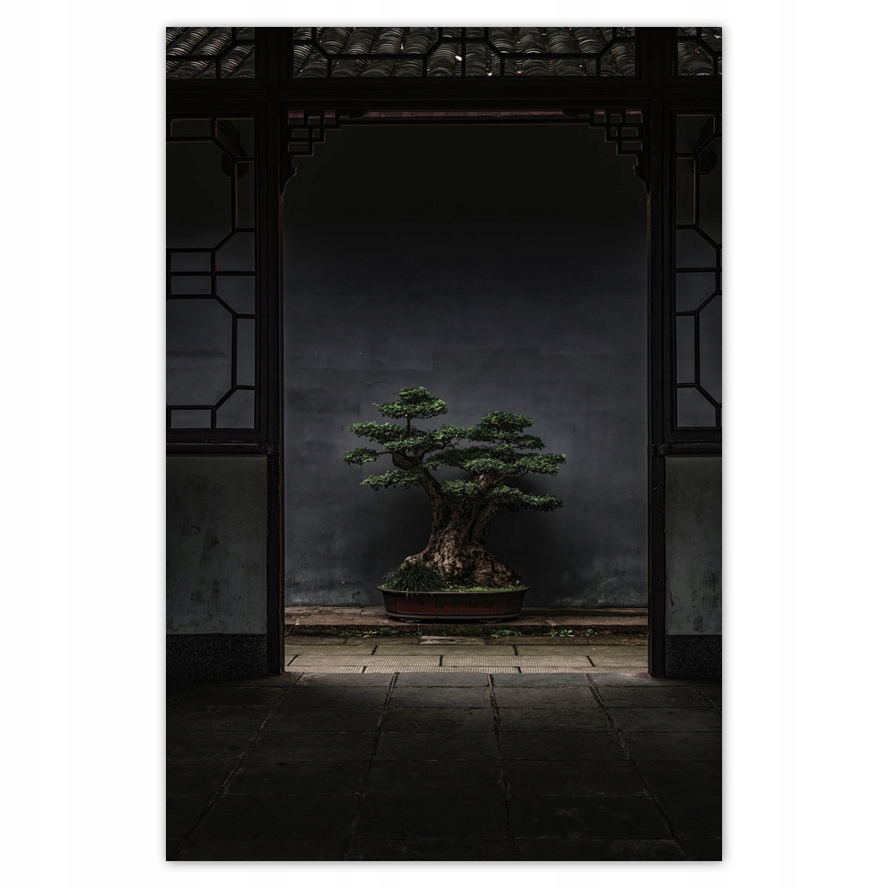 

Plakaty 62x93 Bonsai Drzewko Kultura