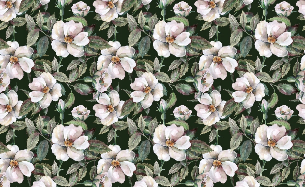 

Fototapeta Flizelinowa Dzikie róże 416x254