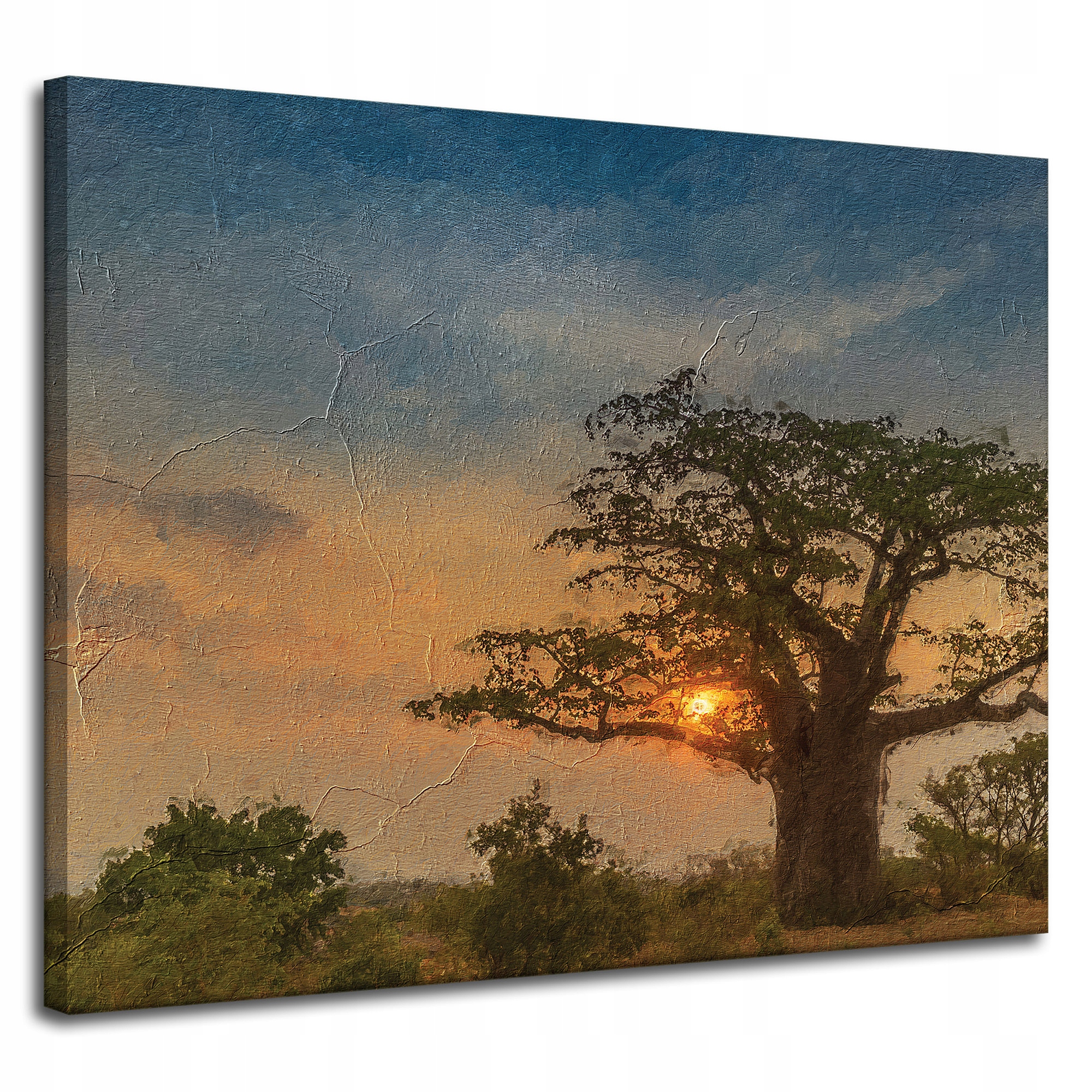 Obraz na plátně Zapadající slunce na Savaně 100 x 80 cm Ideální jako dárek