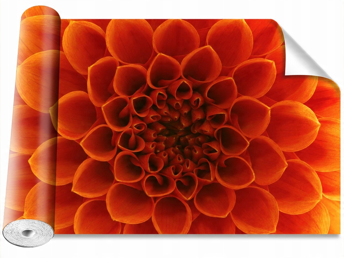 

Tapeta Samoprzylepna MagicStick Kwiat - 416x254