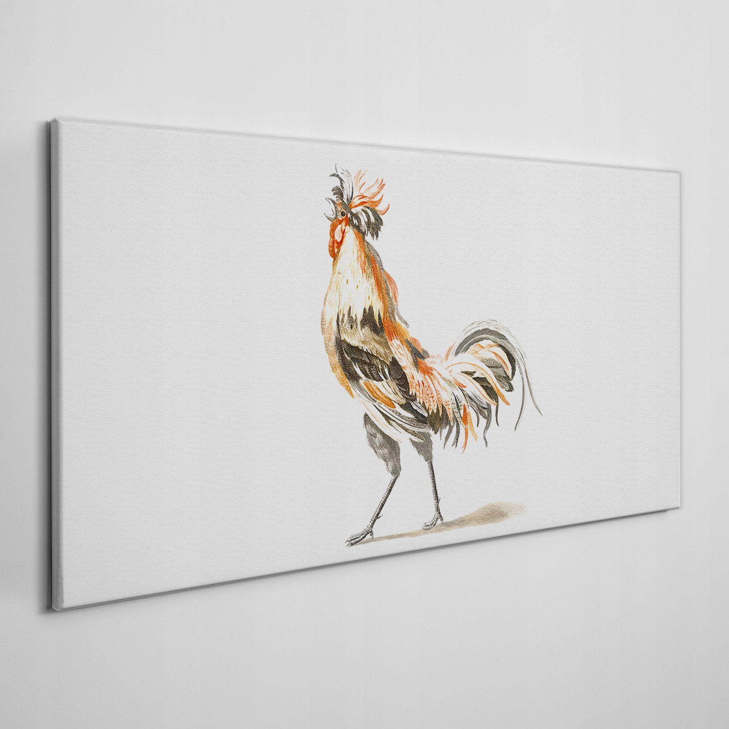 

Obraz na płótnie Zwierzę ptak kurczak 100x50 cm