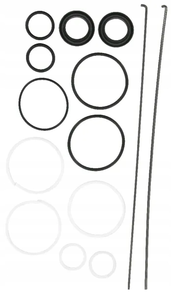 Zestaw naprawczy cylindra, Case - IH