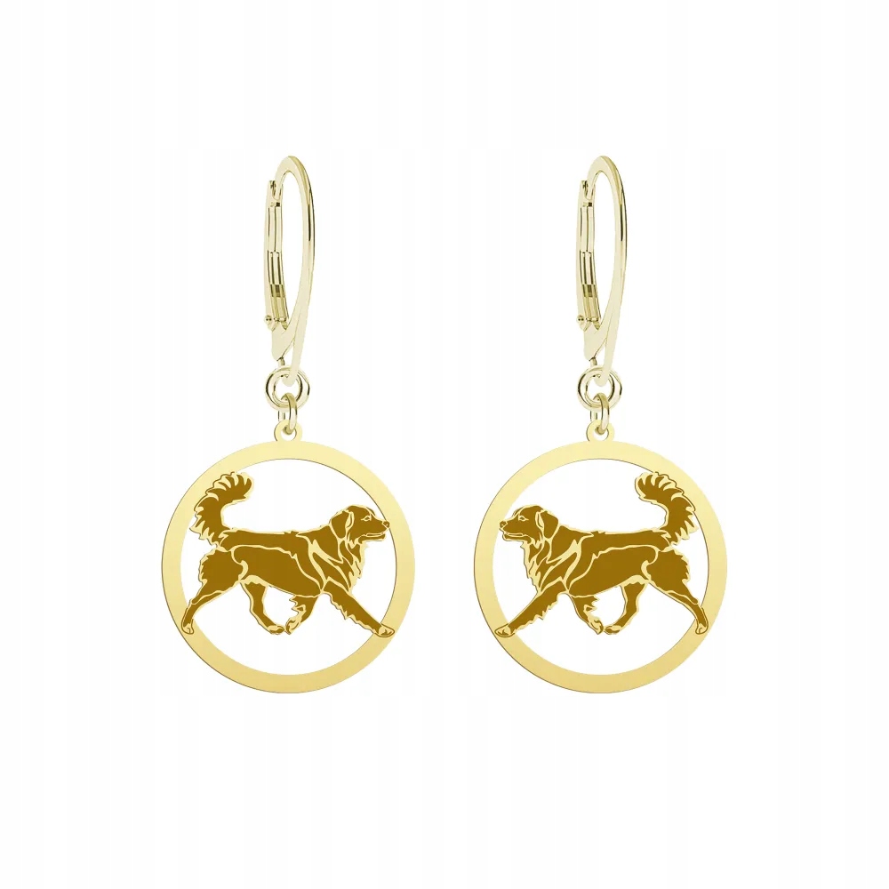 Náušnice Zlaté s Nova Scotia Duck Tolling Retriever 925 Dárek Gravírování