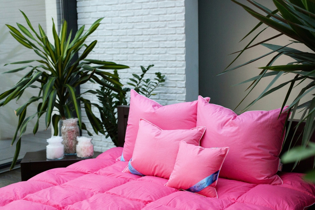 PODUSZKA PUCHOWA 80x70 PUCH GĘSI I PIERZE 1,5kg Szerokość produktu 70 cm