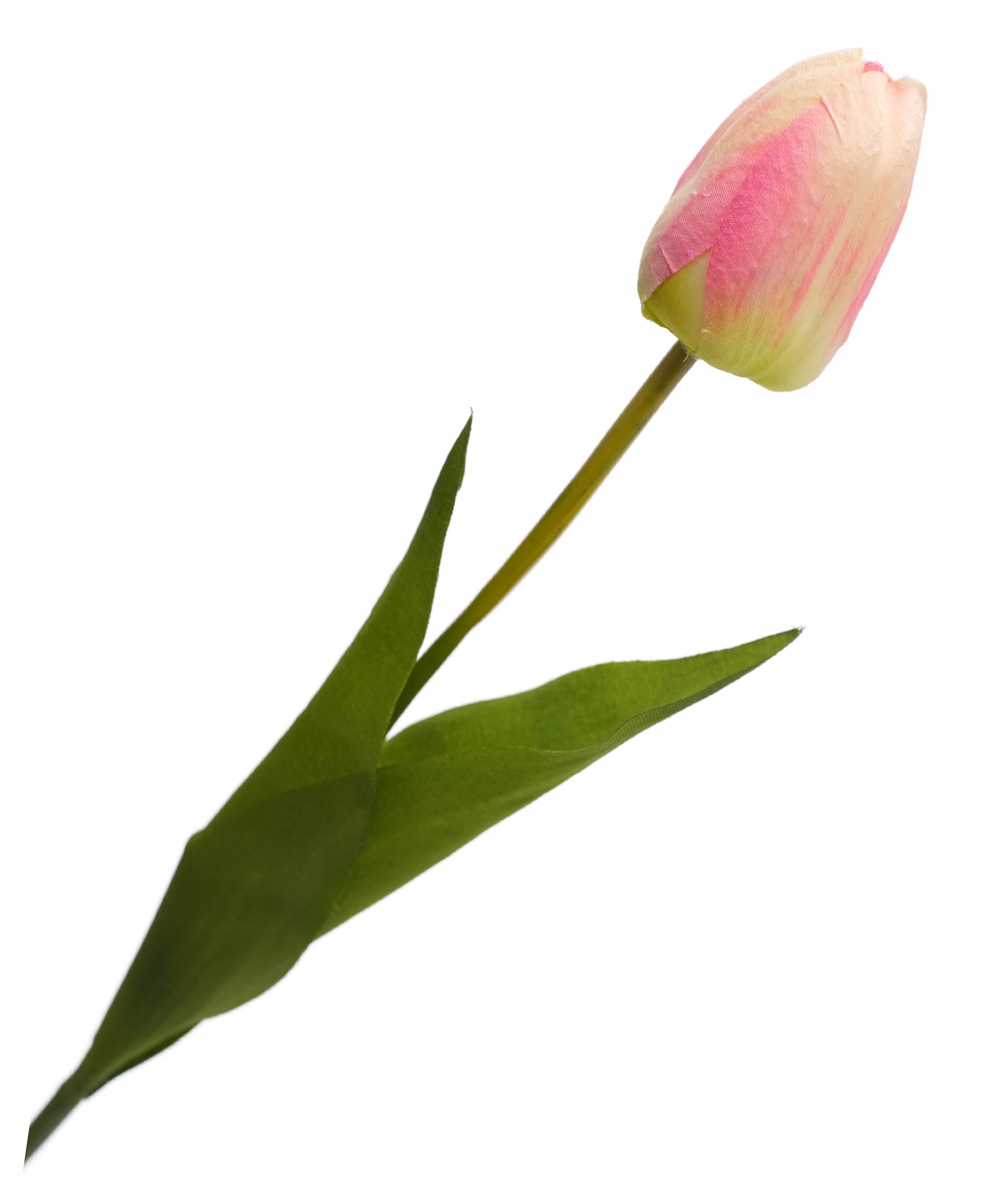 

Tulipan Tulipany Jak Żywe Sztuczne Kwiaty