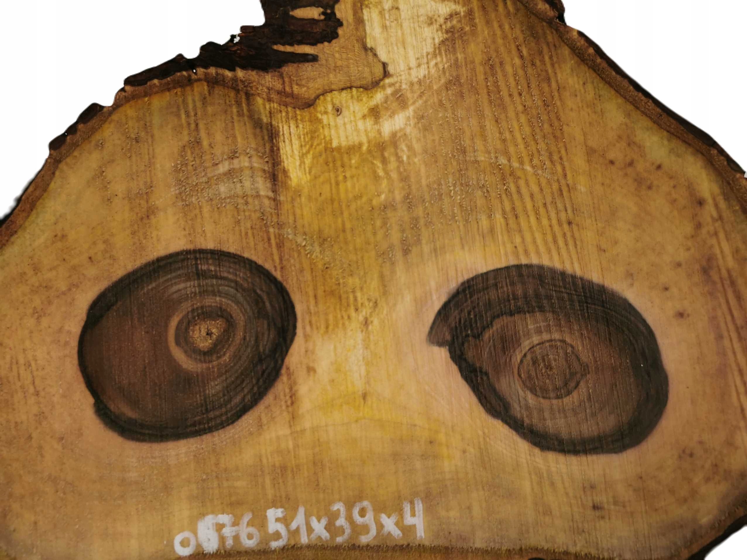 Plaster Orzecha Włoskiego 51x39 Duży Wybór Żywica Marka Inna