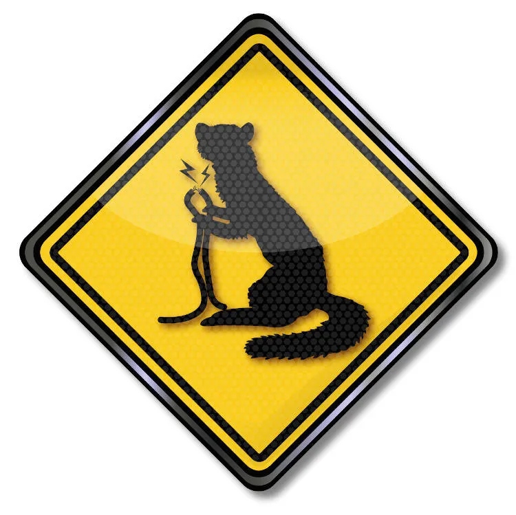 ECOCHEMICAL PREPARAT ODSTRASZAJĄCY KUNY GRYZONIE Producent Ecochemical