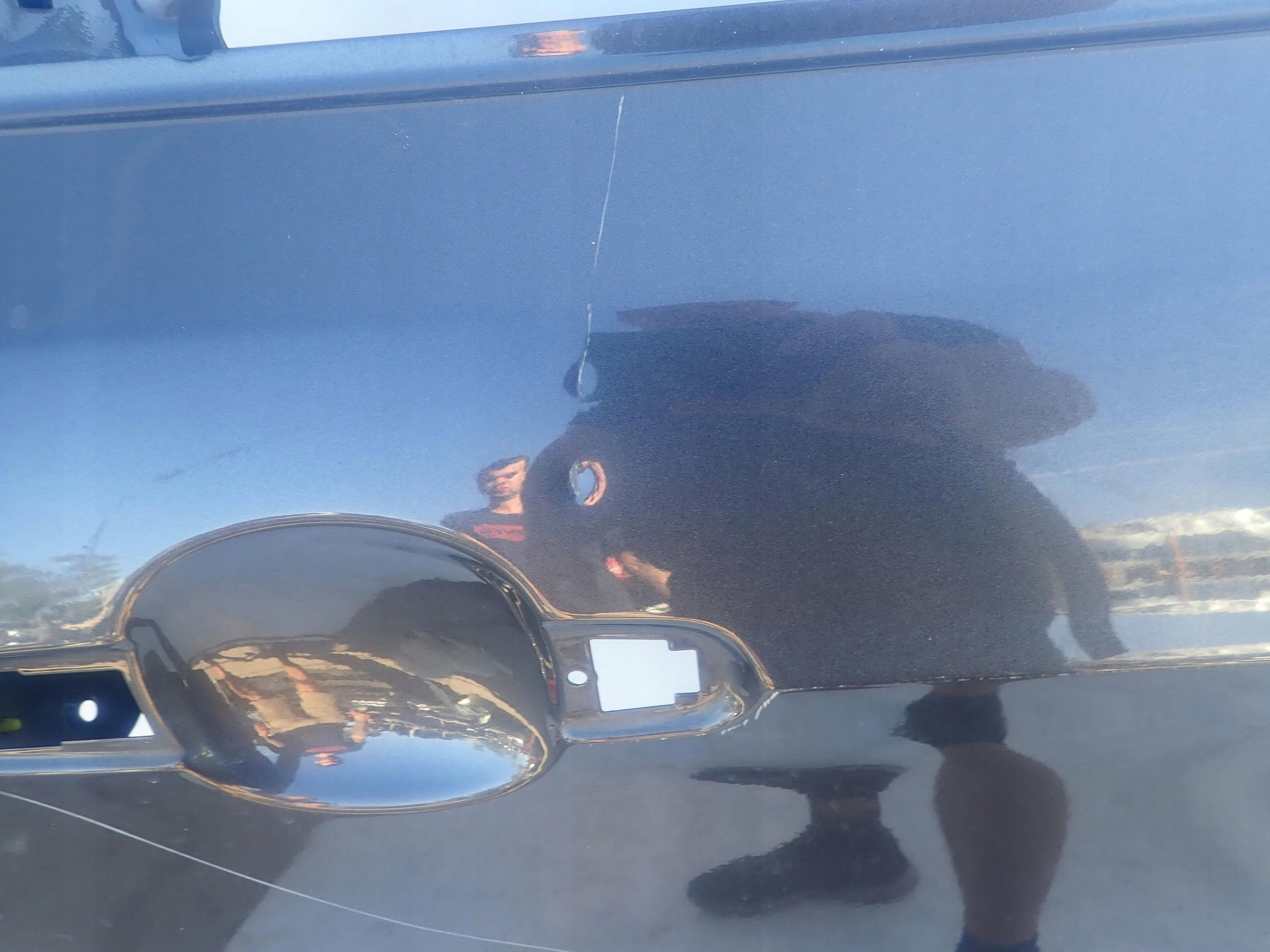 FORD KUGA MK2 ESCAPE 13-19 Tür heck hinten rechts