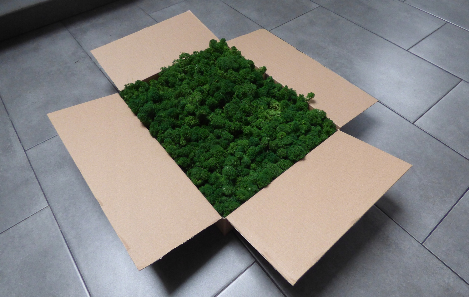 Mech Chrobotek PREMIUM Forest Green Karton 1kg Forma w kartonie