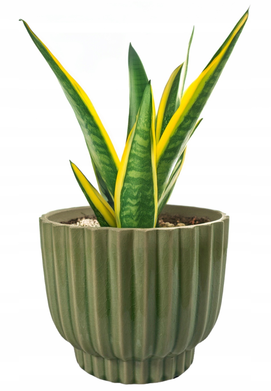 Květináč 18 cm zelený, velký květináč, obal na květináč, lesk na terasu